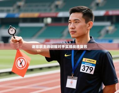 谢菲联主场驯服对手实现战绩复苏