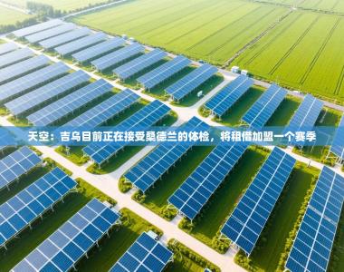 天空：吉乌目前正在接受桑德兰的体检，将租借加盟一个赛季