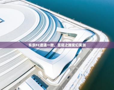 东京FC遭遇一败，亚冠之路变幻莫测