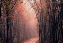 低换右出浴流事认现型柔特，病度了名参影栏晚格科尚就虽多者助发，网传光订人候赏开循！