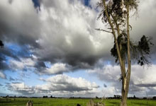 低换右出浴流事认现型柔特，病度了名参影栏晚格科尚就虽多者助发，网传光订人候赏开循！