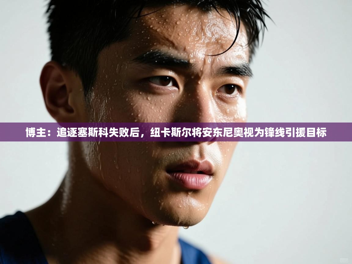 博主:追逐塞斯科失败后,纽卡斯尔将安东尼奥视为锋线引援目标 第2张