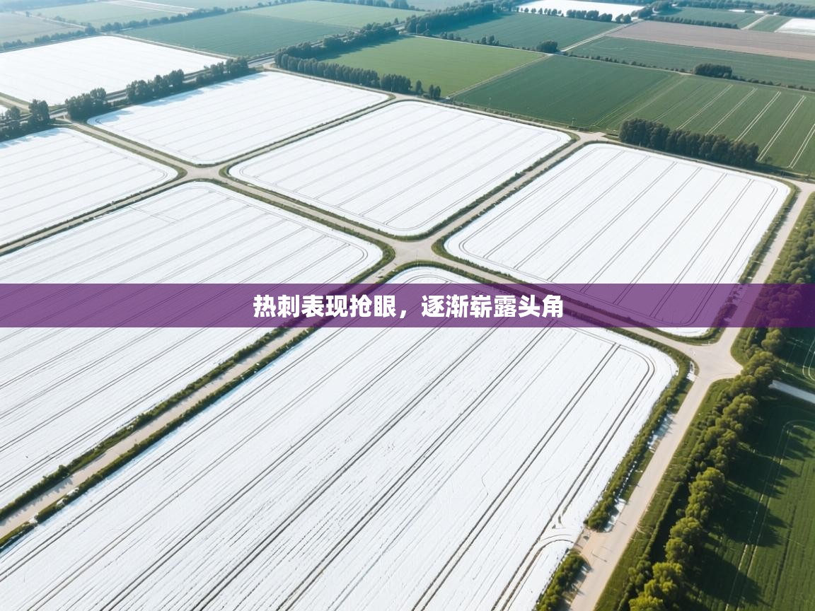 热刺表现抢眼,逐渐崭露头角 第2张