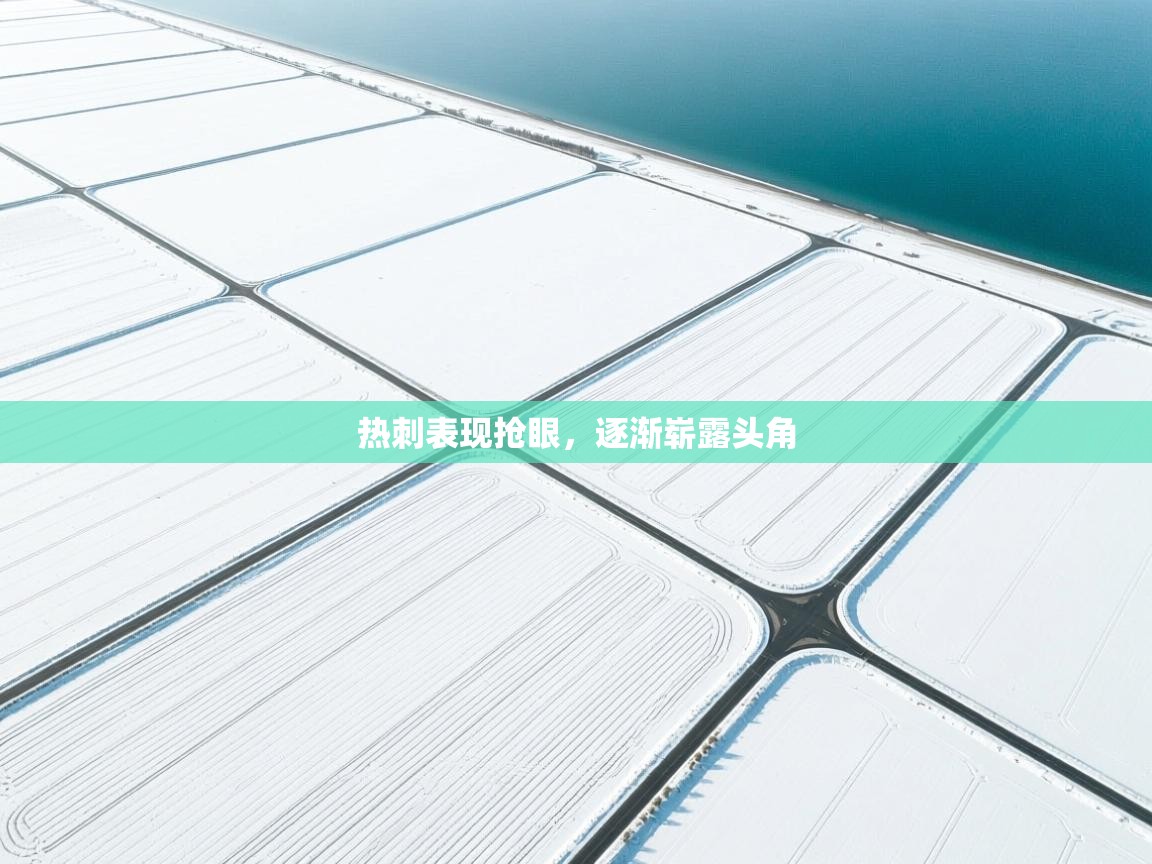 热刺表现抢眼,逐渐崭露头角 第1张